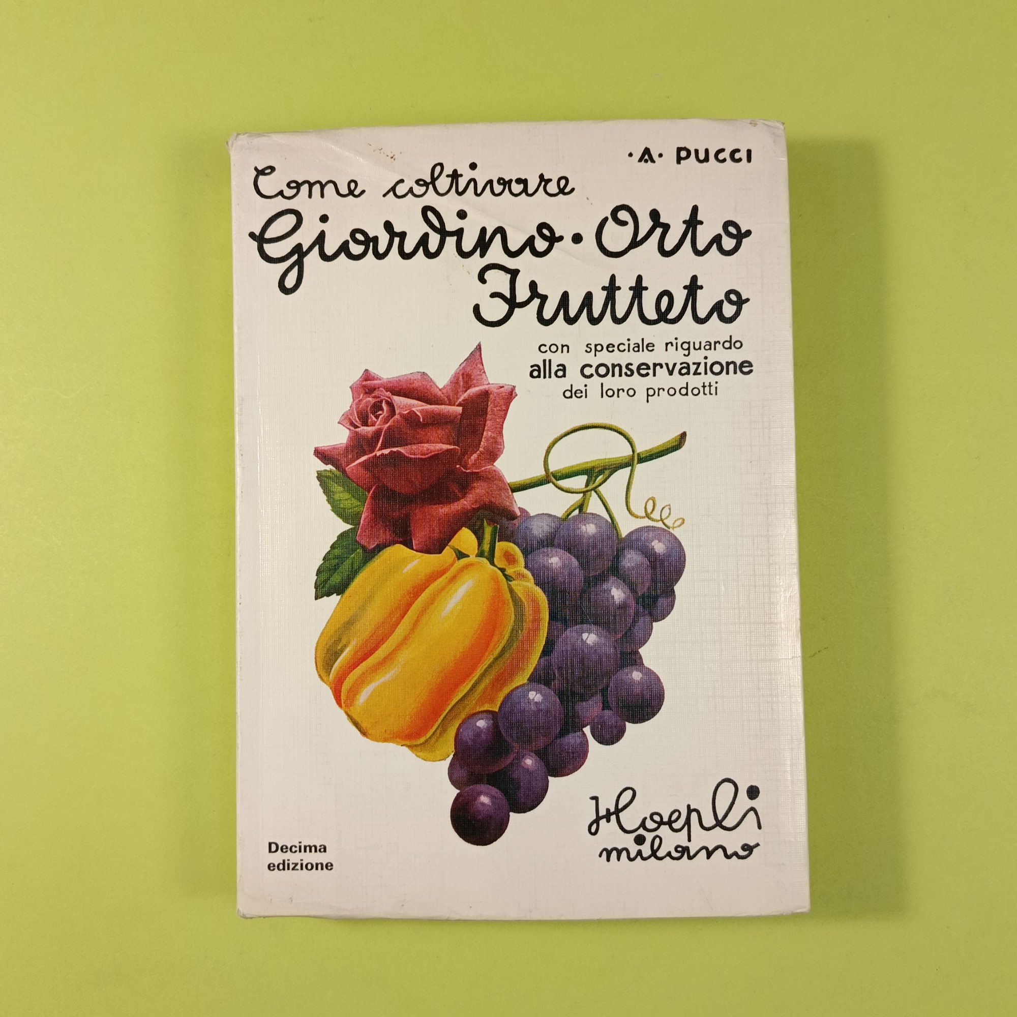 COME COLTIVARE GIARDINO ORTO FRUTTETO