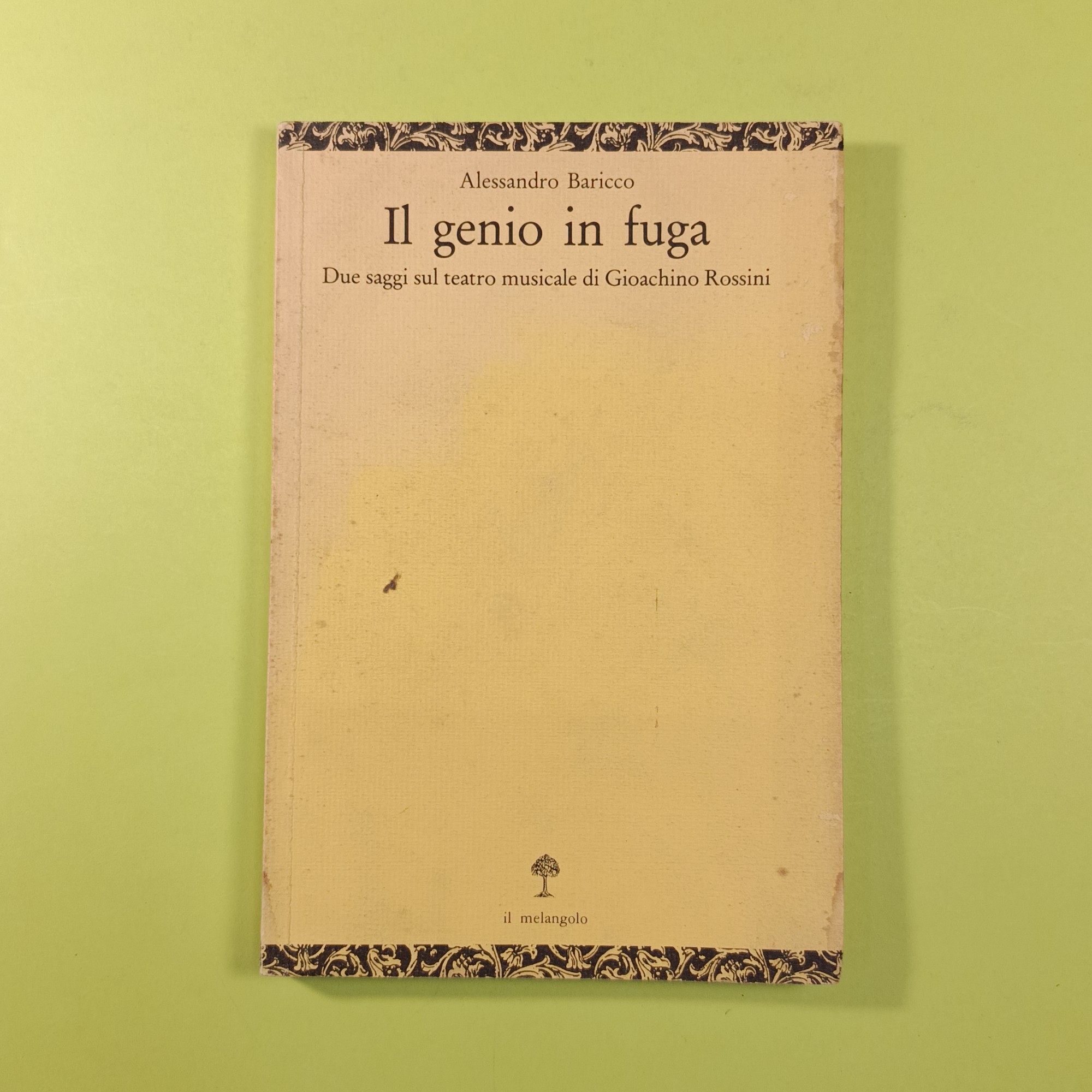 IL GENIO IN FUGA