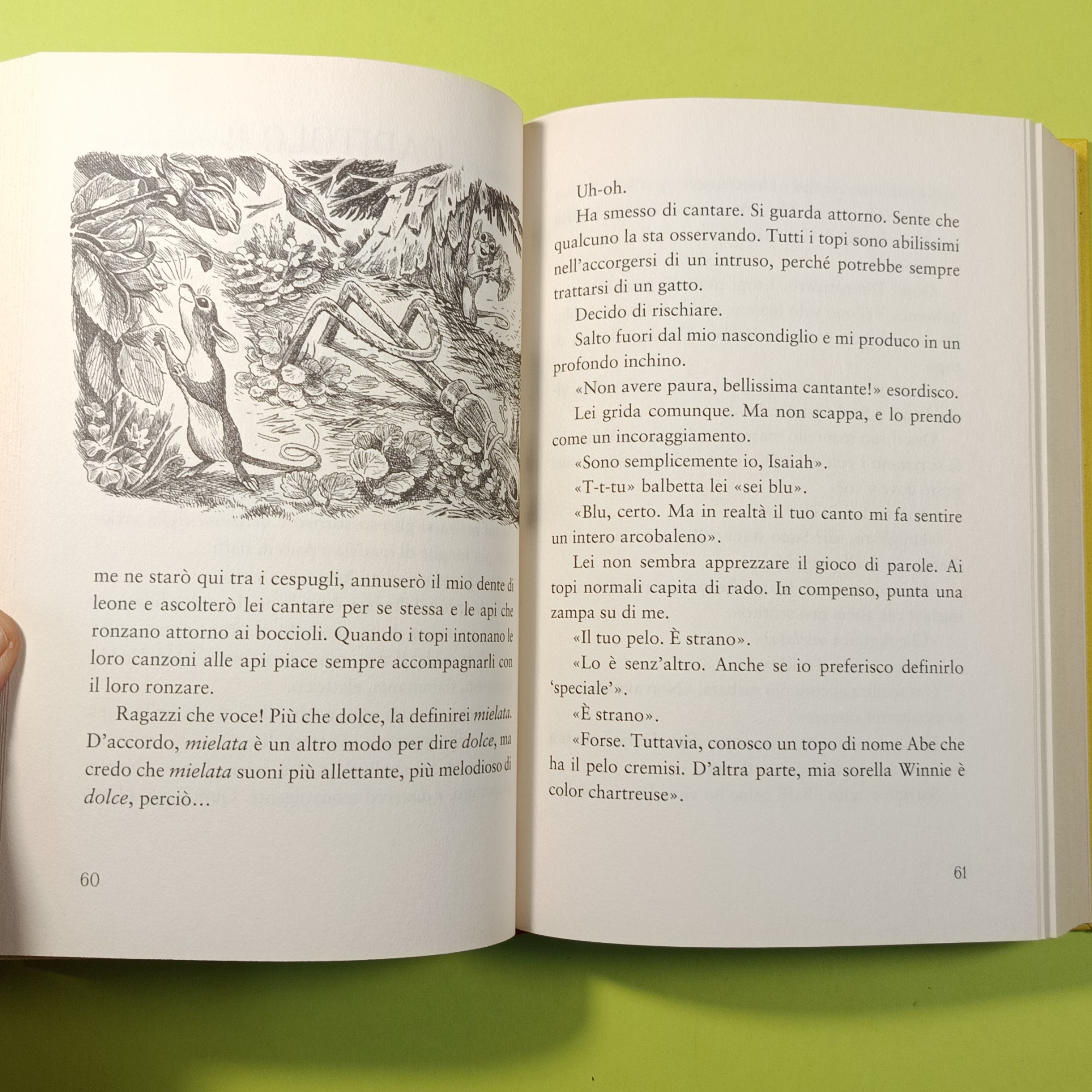 CUORE DI TOPO - immagine 4