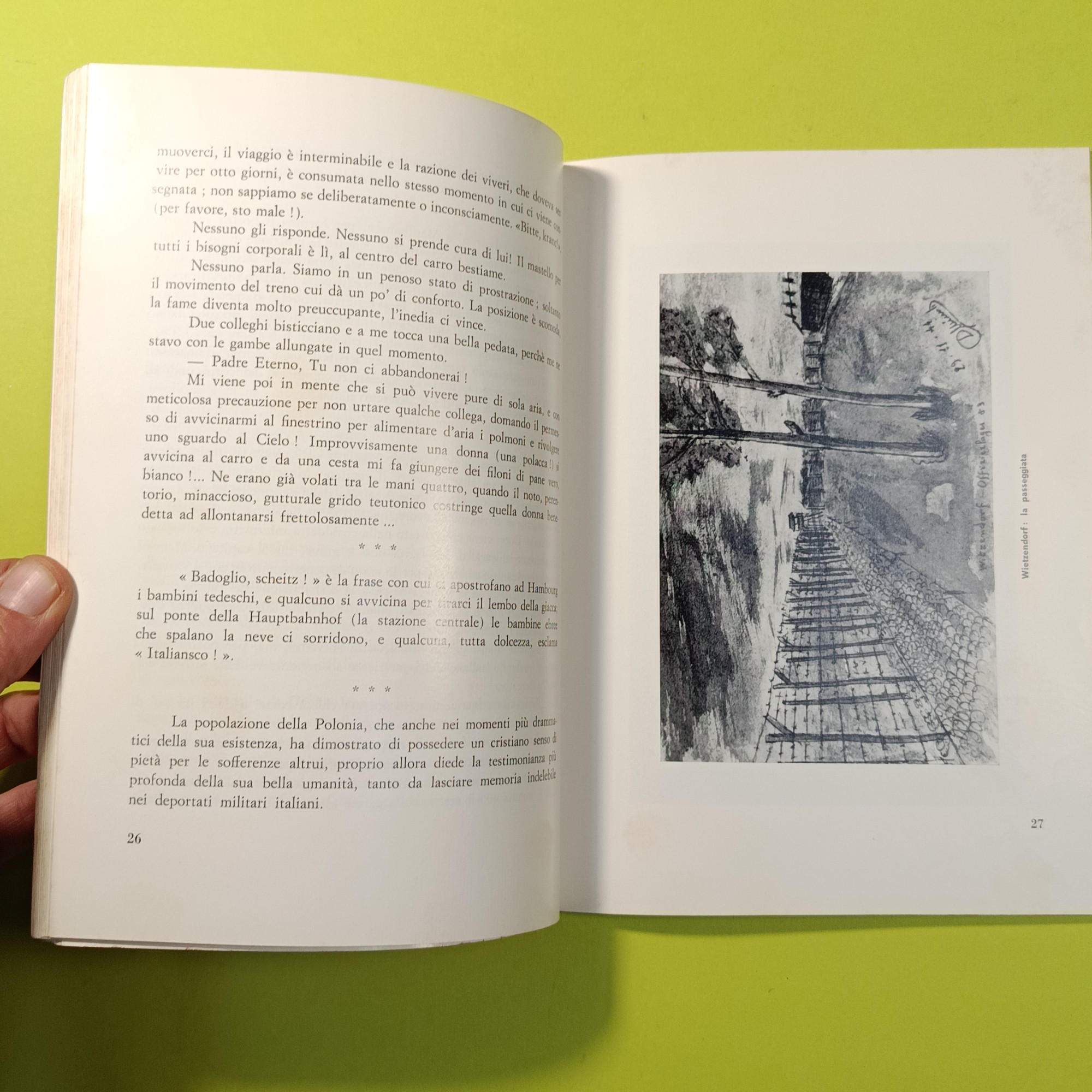 INTERNATI MILITARI - immagine 3