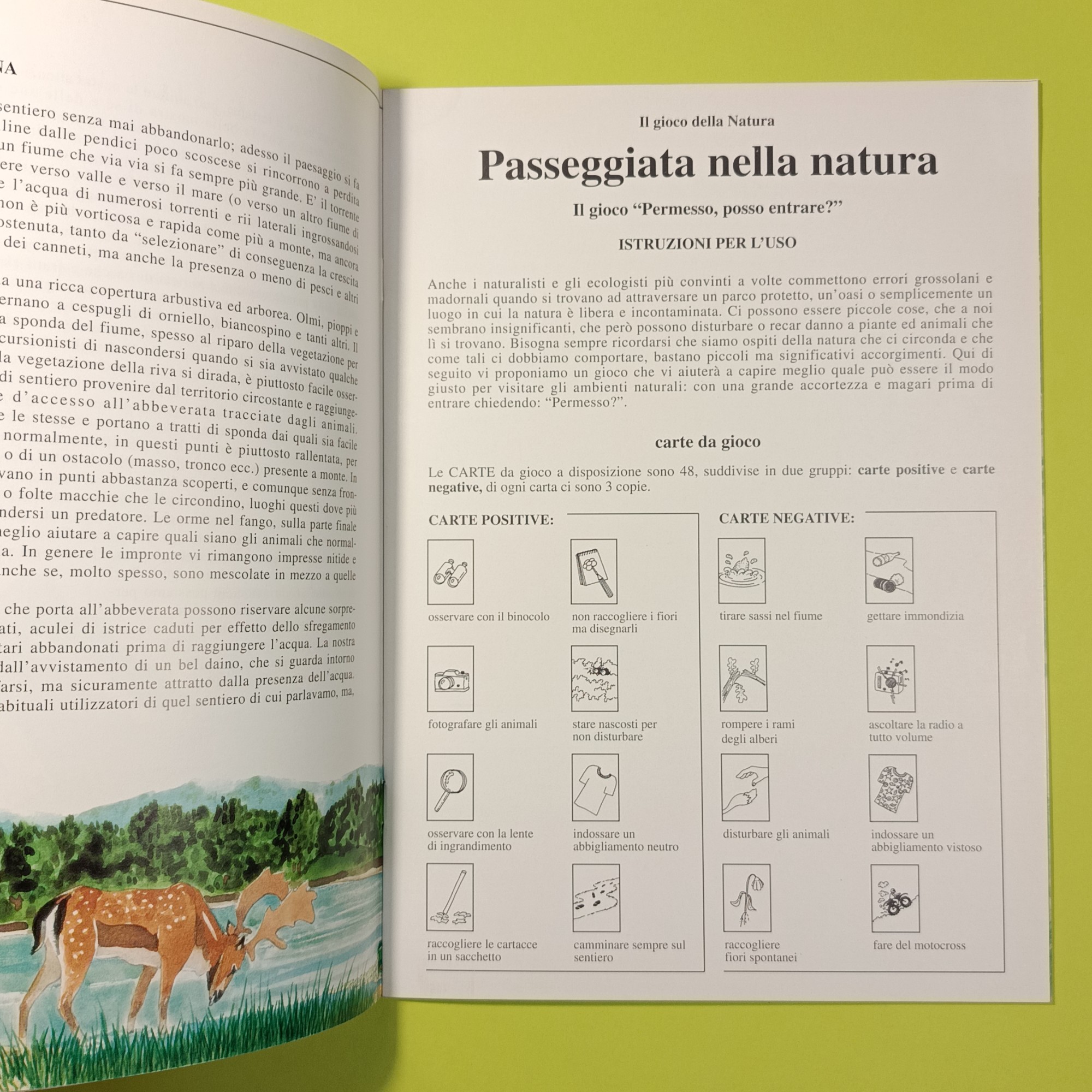 PASSEGGIATA NELLA NATURA - immagine 2