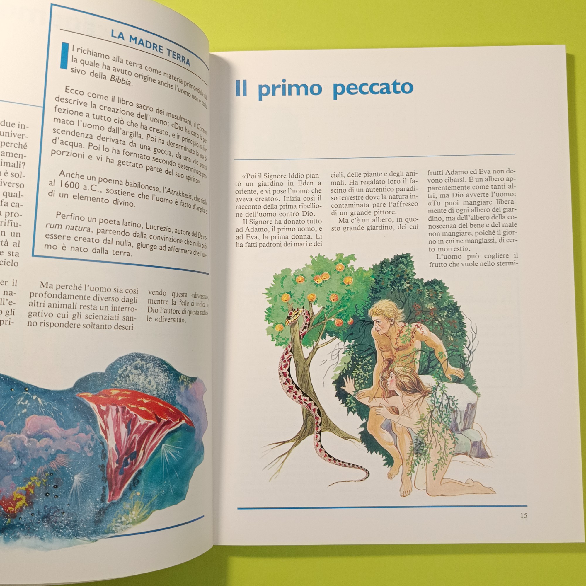 ALLA SCOPERTA DELLA FEDE - immagine 2