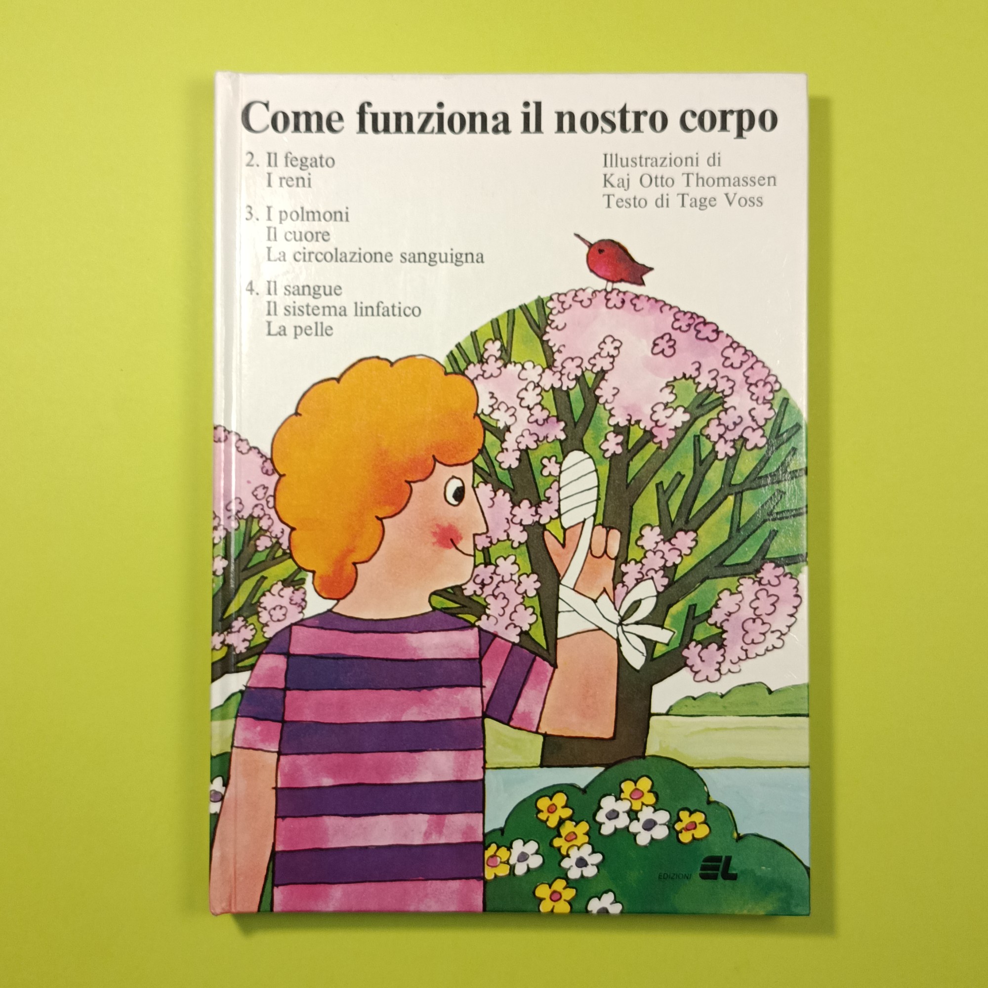 COME FUNZIONA IL NOSTRO CORPO
