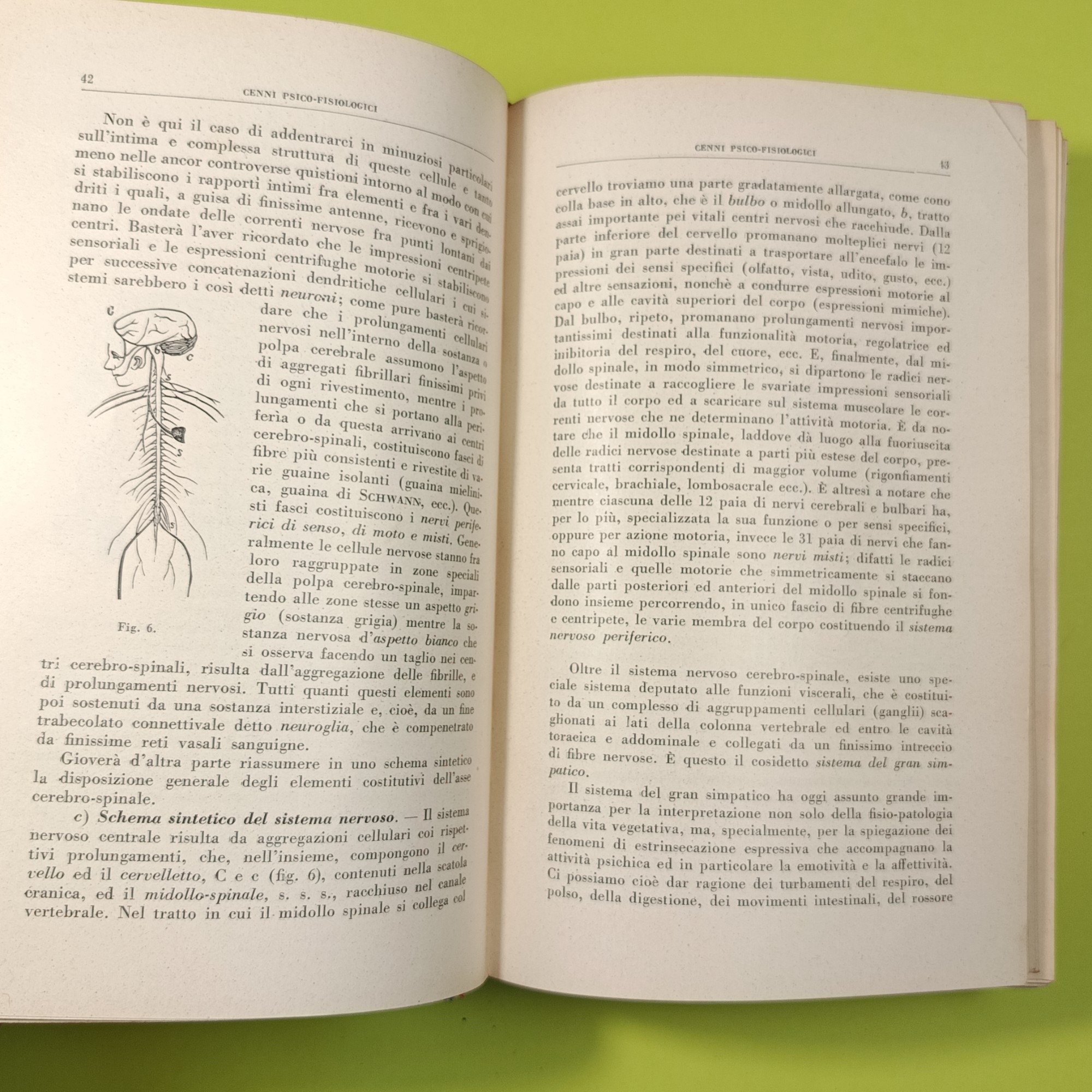MANUALE DI MEDICINA LEGALE E DELLE ASSICURAZIONI VOL I - immagine 5