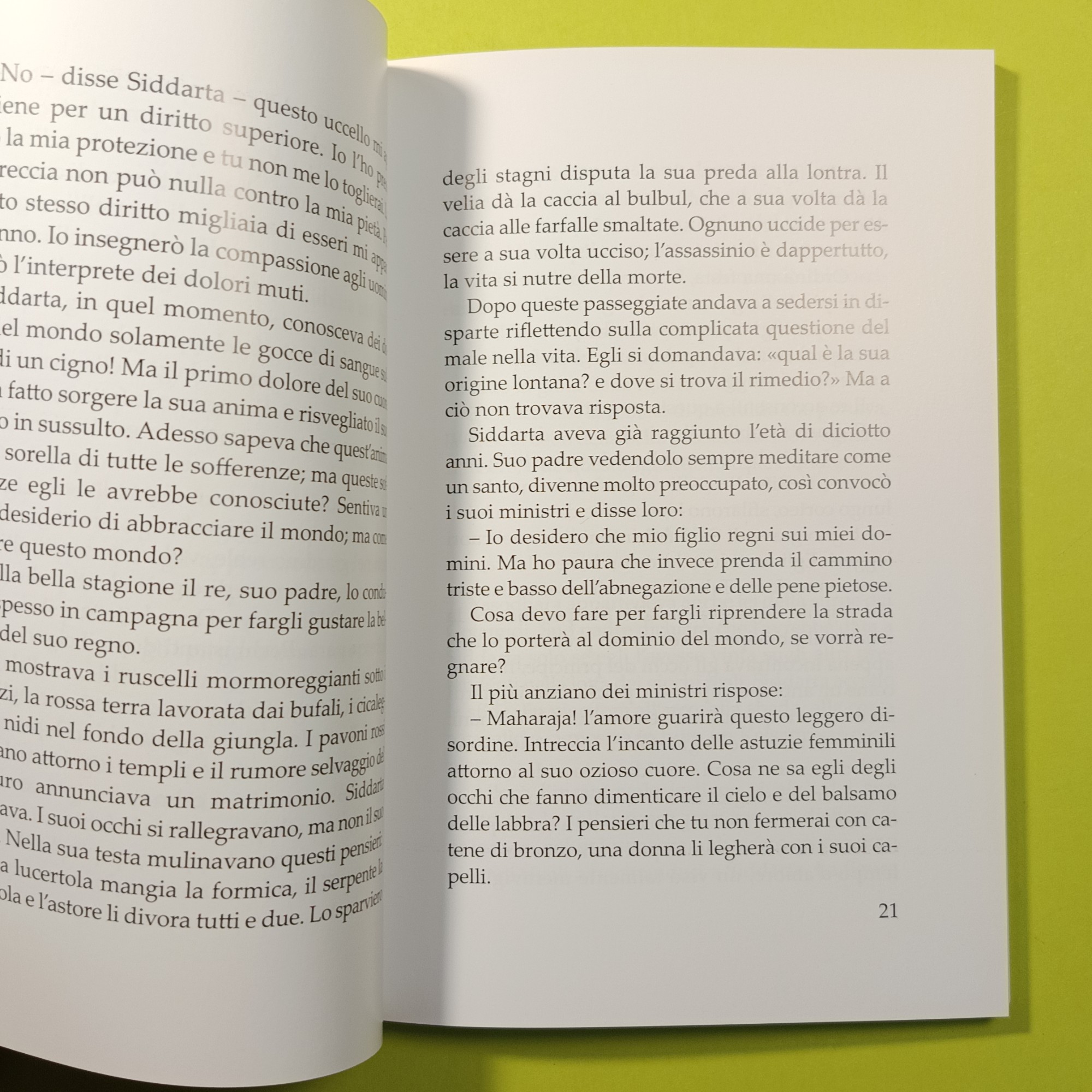 SIDDHARTA LA LEGGENDA DI BUDDHA - immagine 3