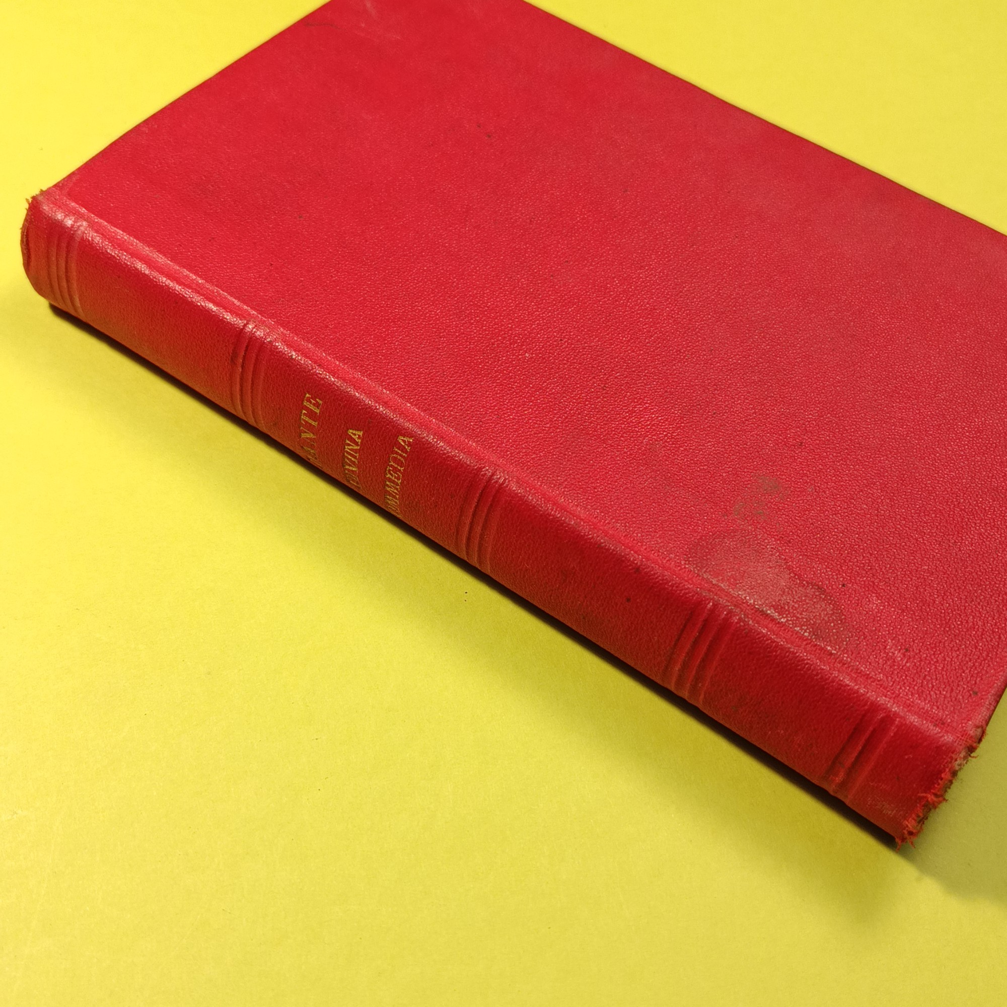 LA DIVINA COMMEDIA DI DANTE ALIGHIERI - immagine 3
