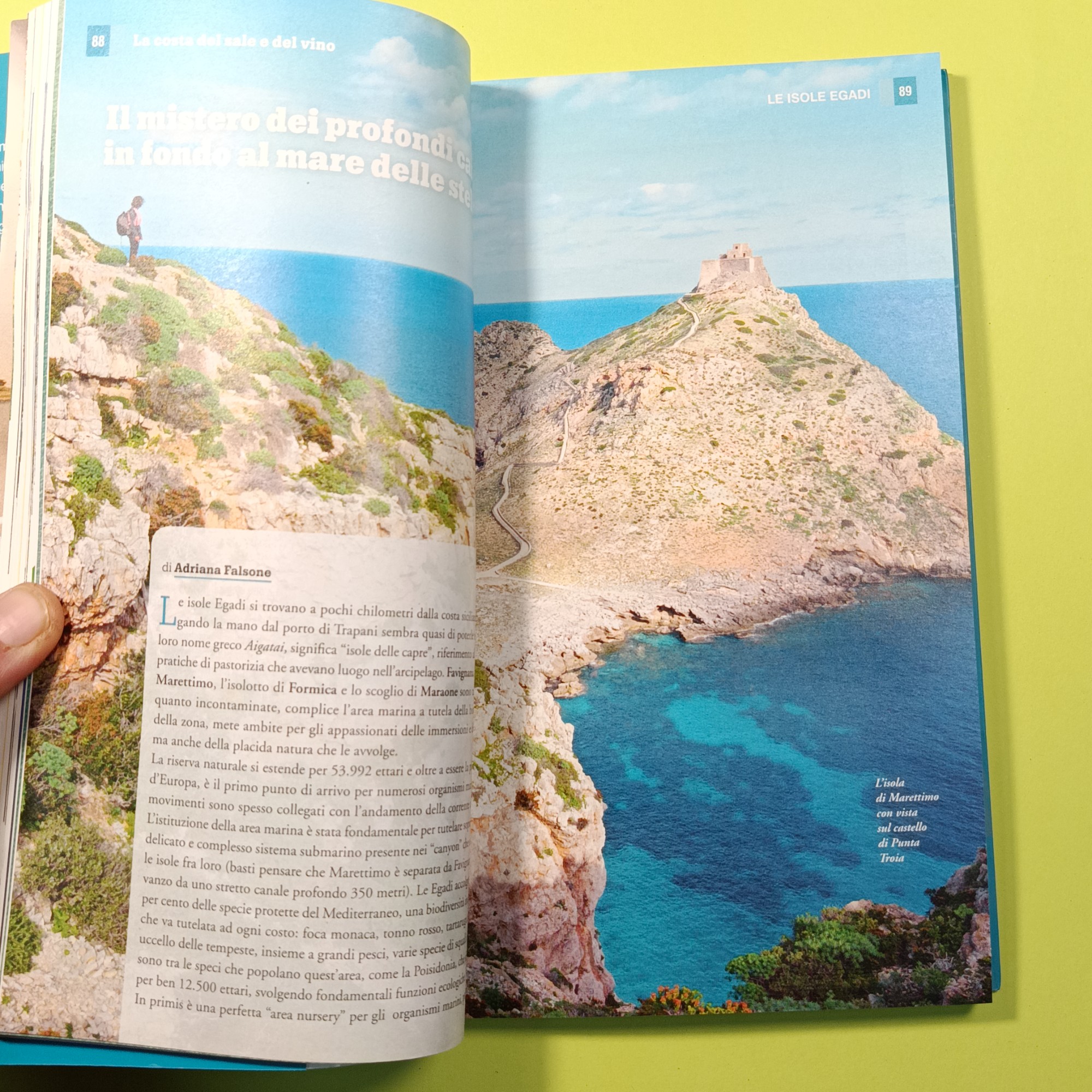 MARE DELLA SICILIA - immagine 6