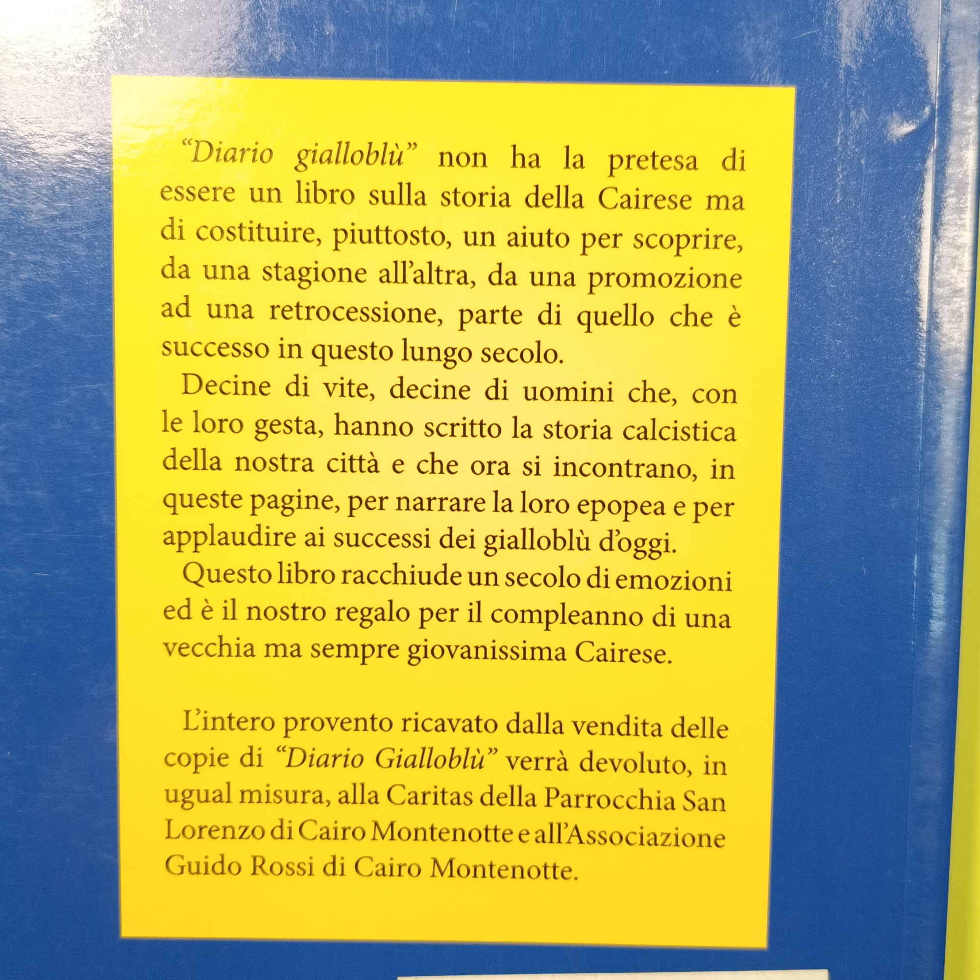 DIARIO GIALLOBLÙ - immagine 6