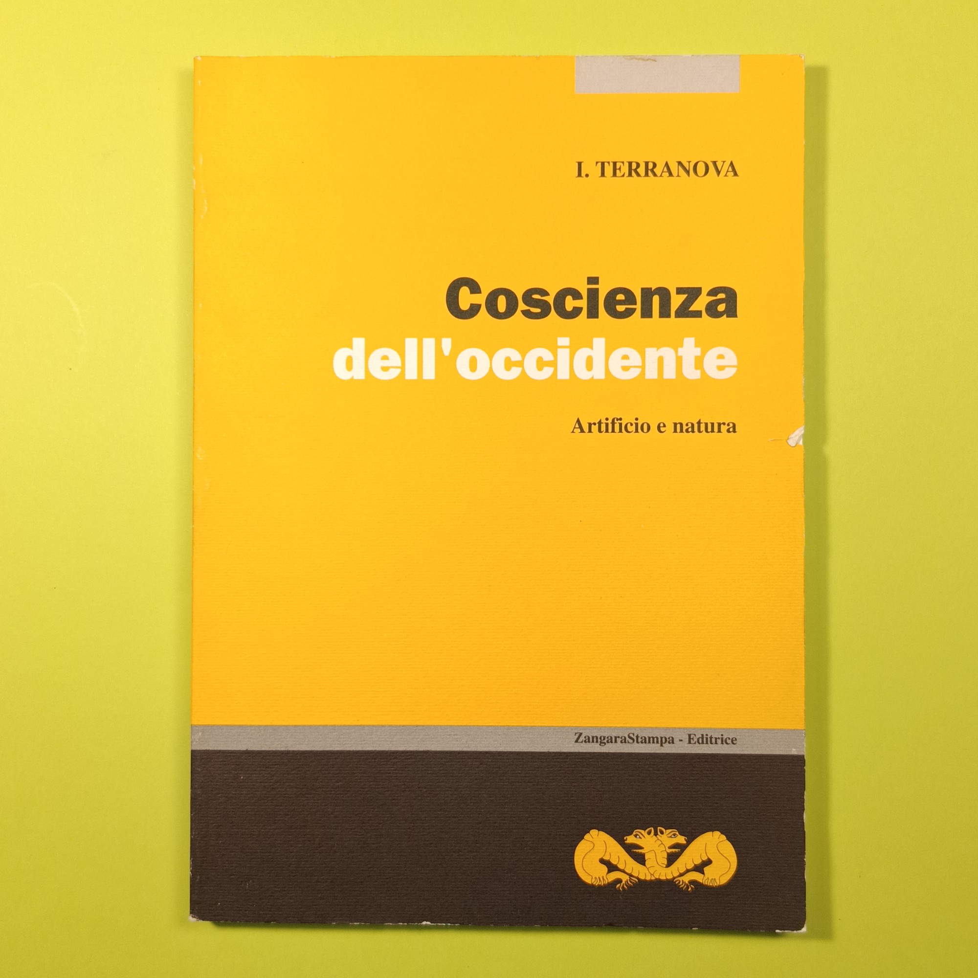 COSCIENZA DELL'OCCIDENTE