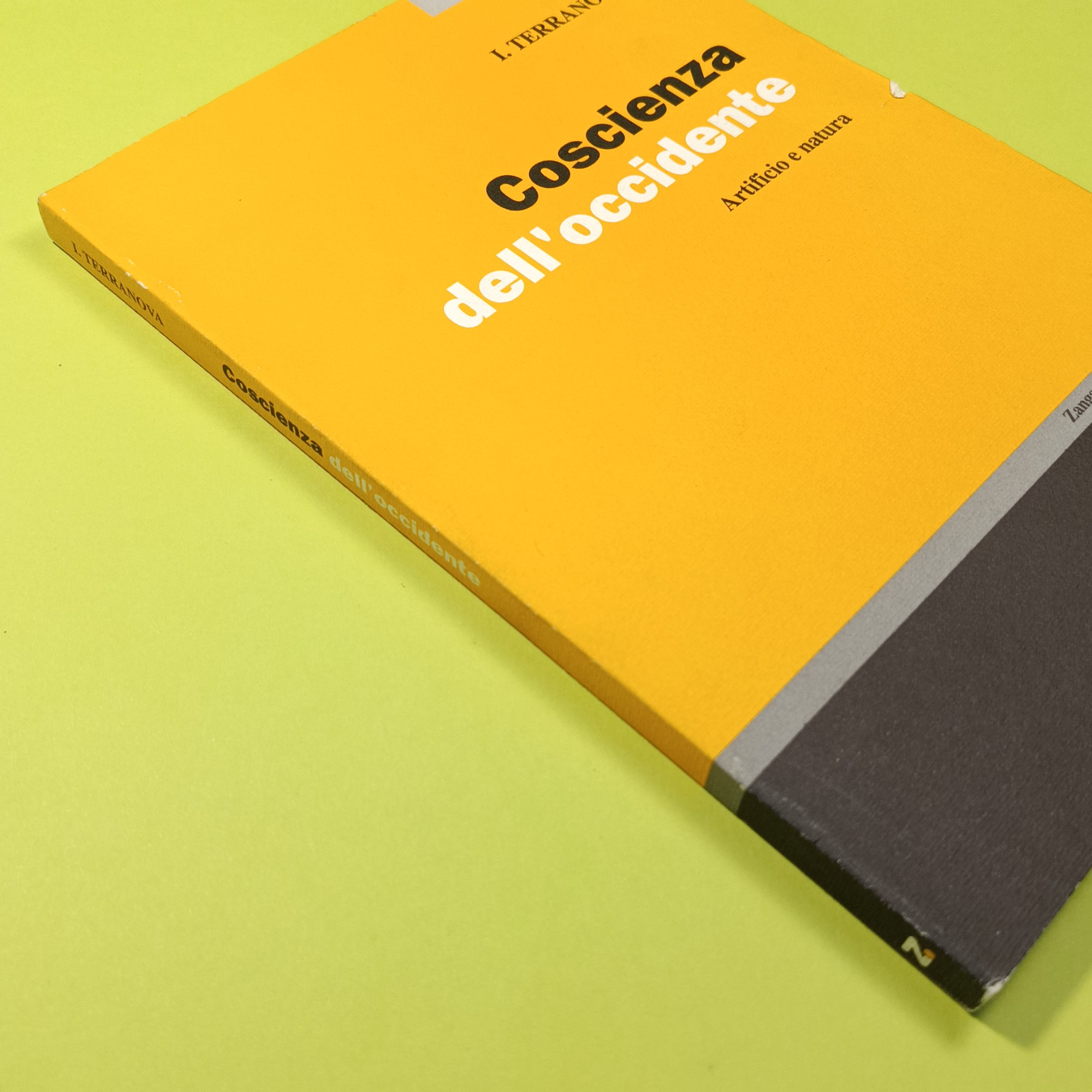 COSCIENZA DELL'OCCIDENTE - immagine 2