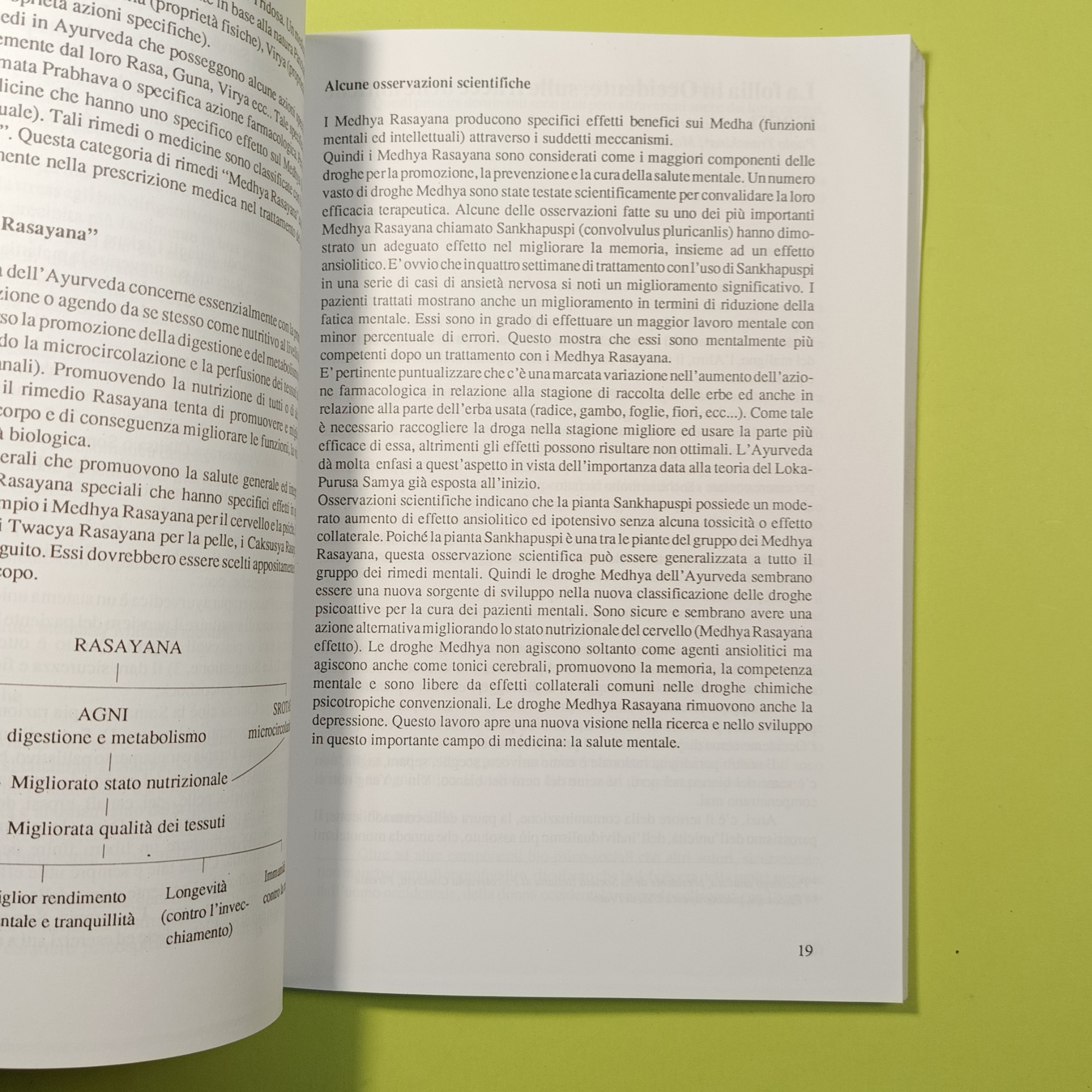 LA MALATTIA MENTALE A CONFRONTO: ORIENTE E OCCIDENTE - immagine 3