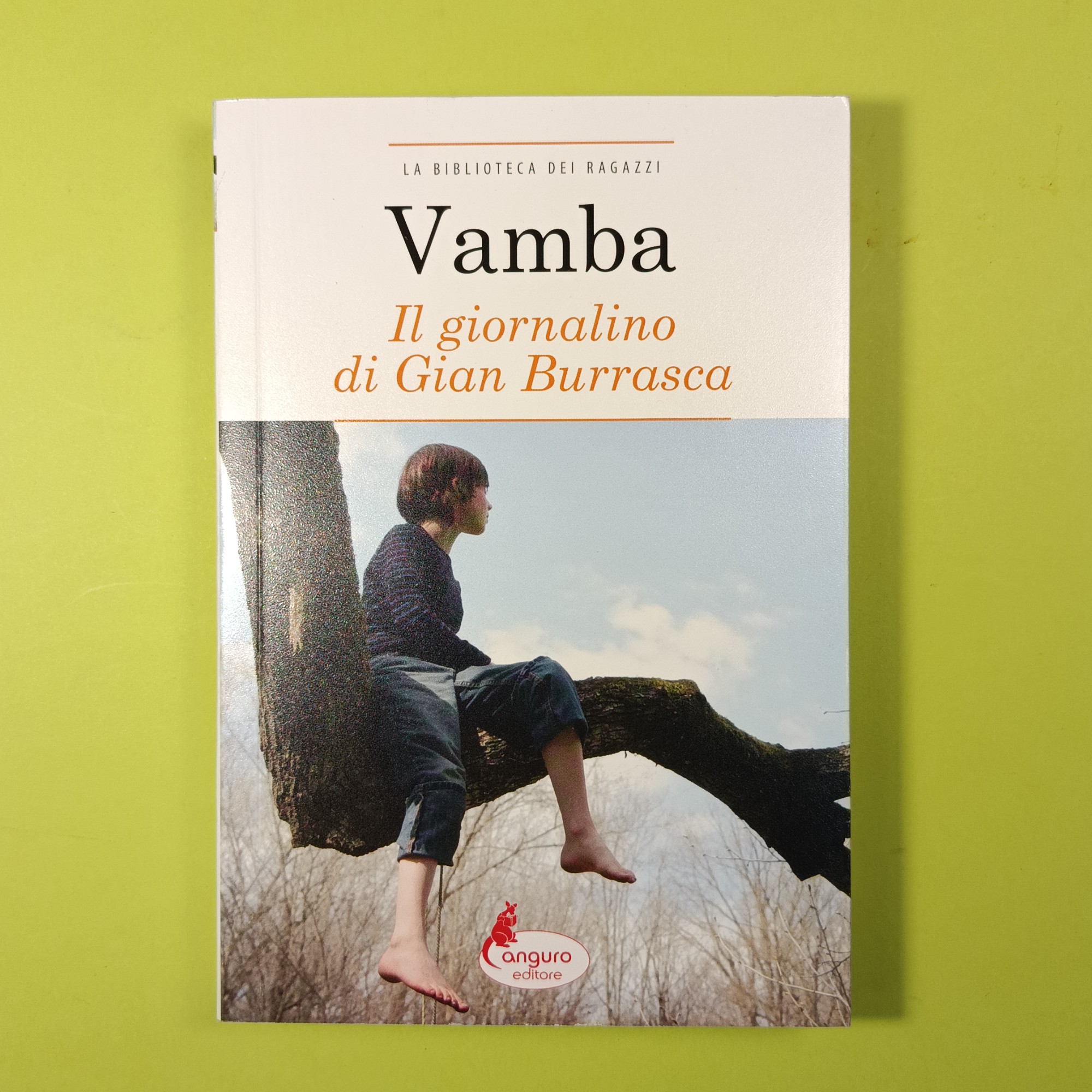 IL GIORNALINO DI GIAN BURRASCA