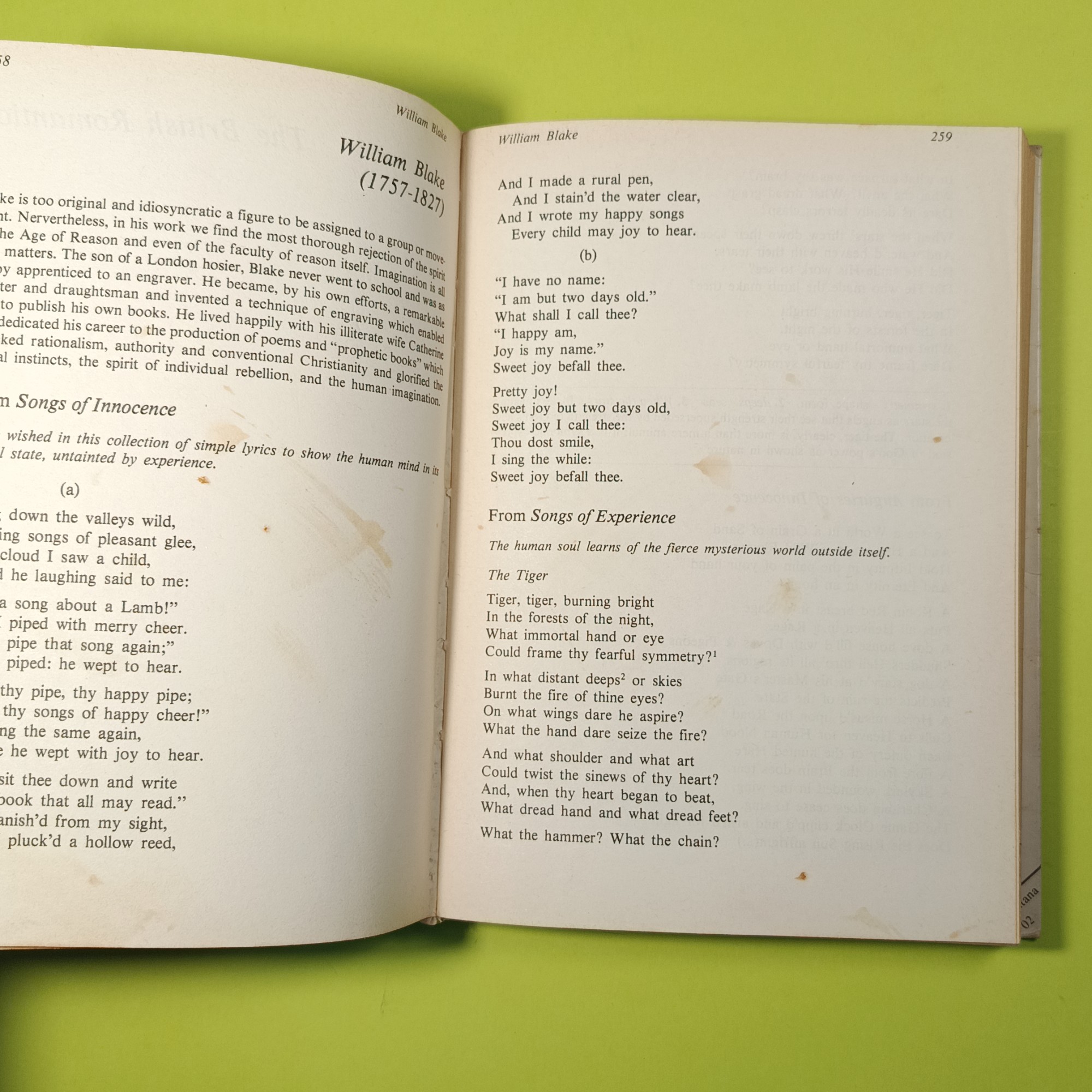 THEY WROTE IN ENGLISH VOL 2 - immagine 4