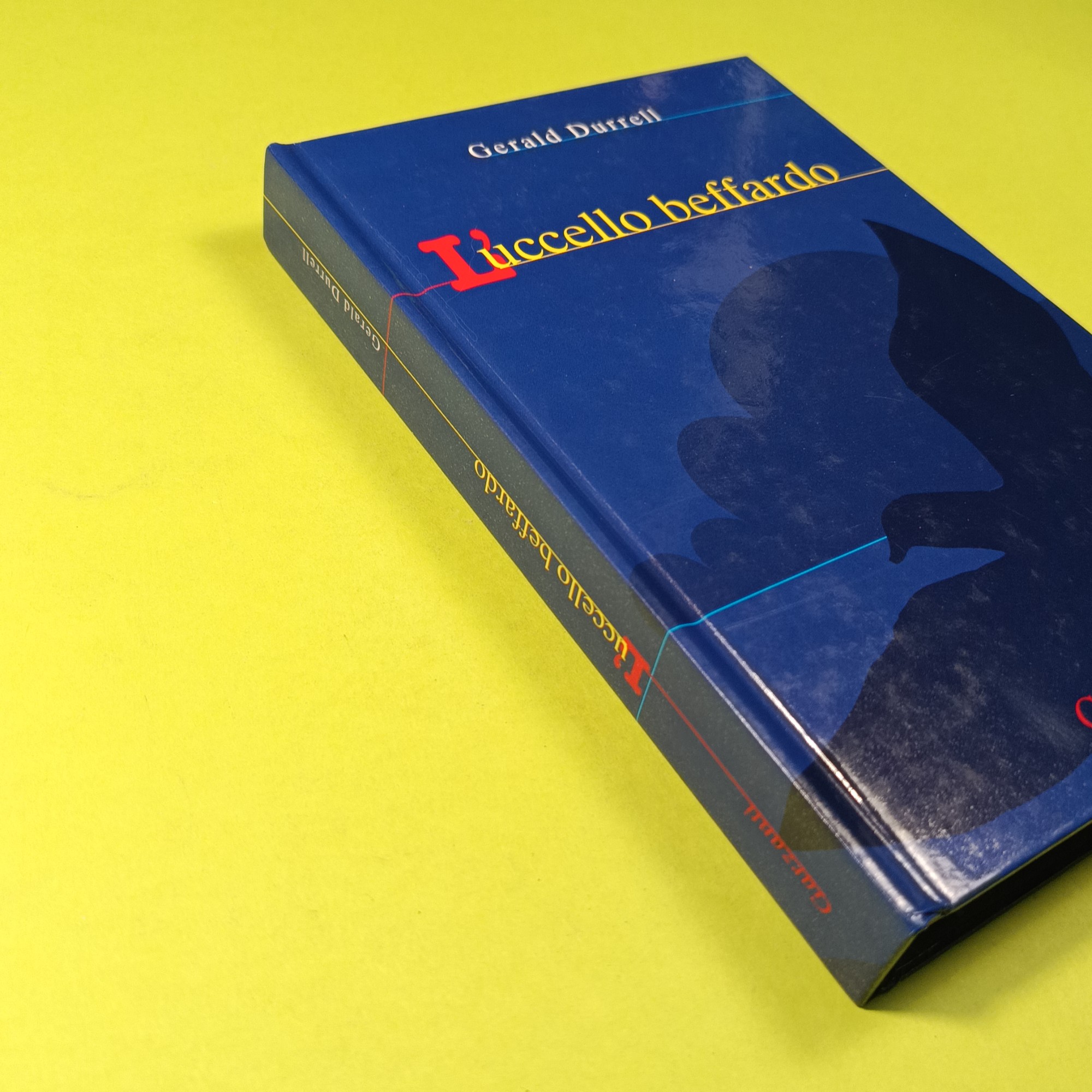 L'UCCELLO BEFFARDO - immagine 2