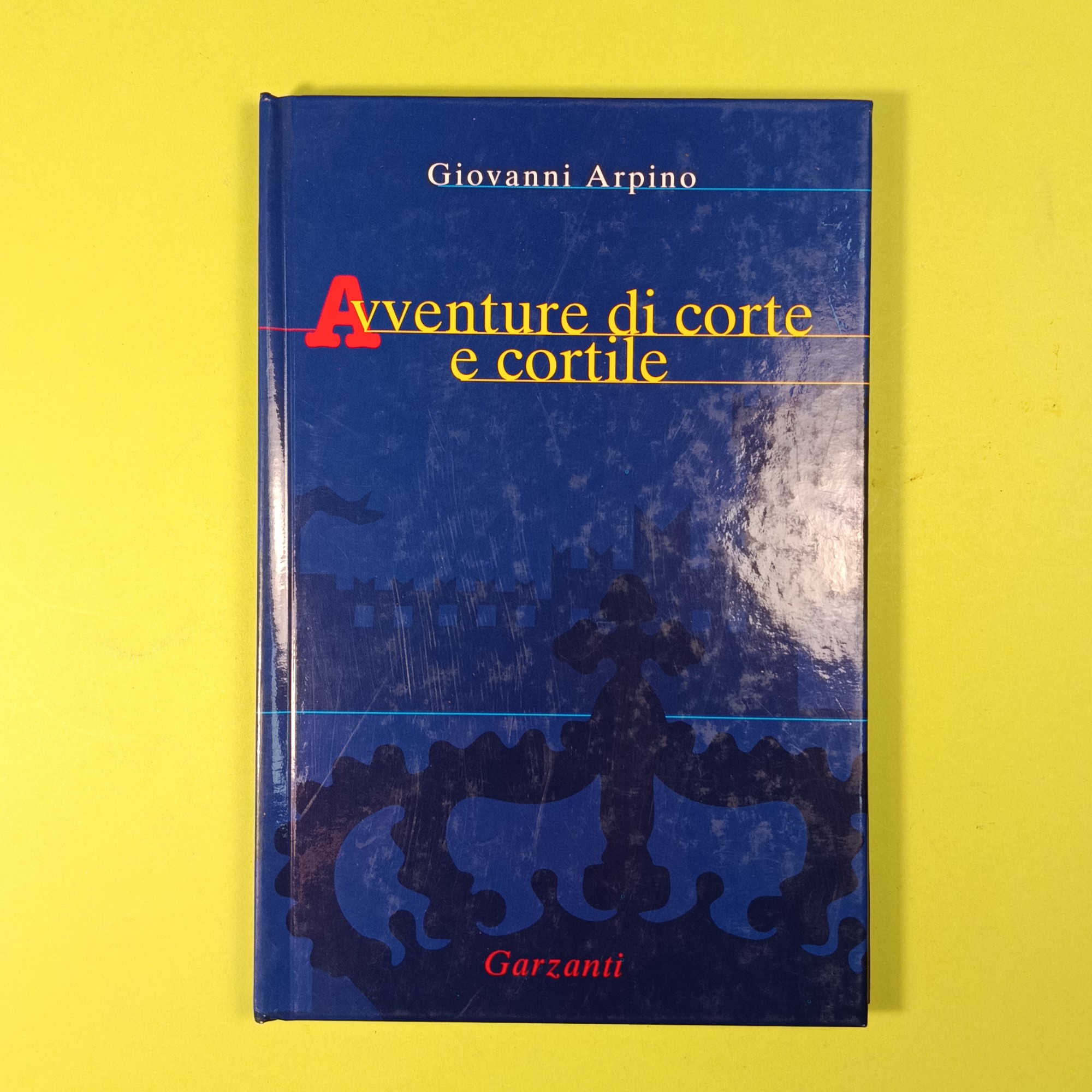AVVENTURE DI CORTE E CORTILE