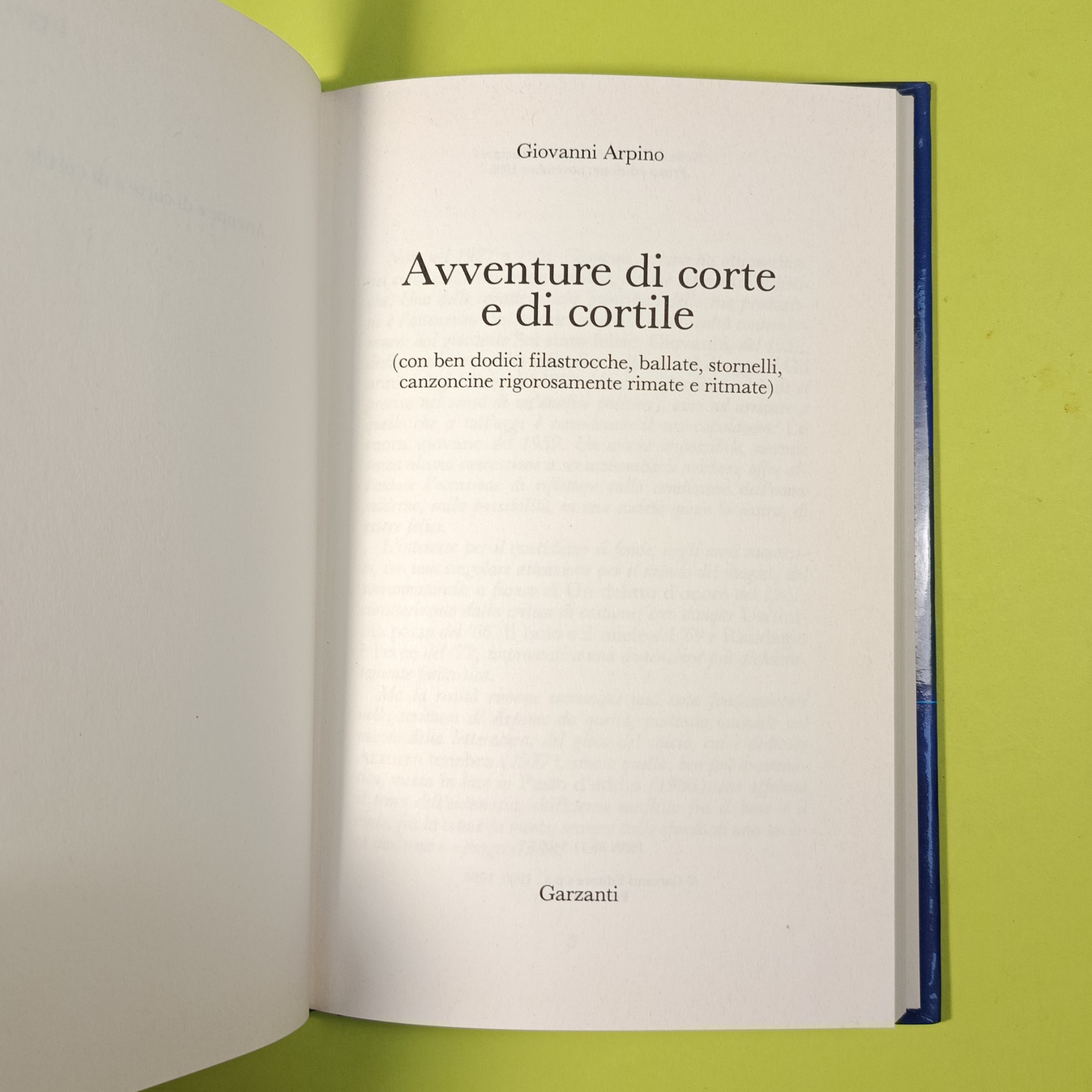 AVVENTURE DI CORTE E CORTILE - immagine 3