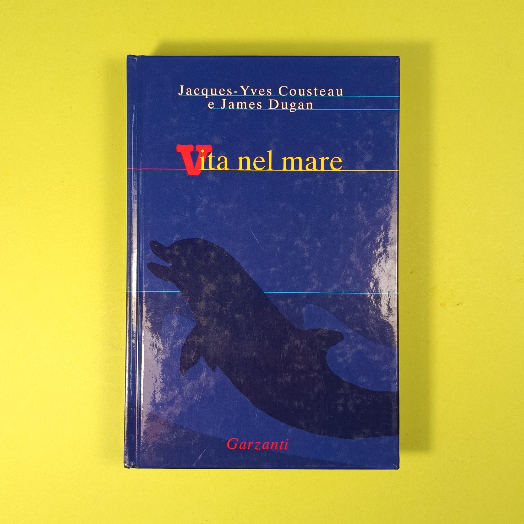 VITA NEL MARE