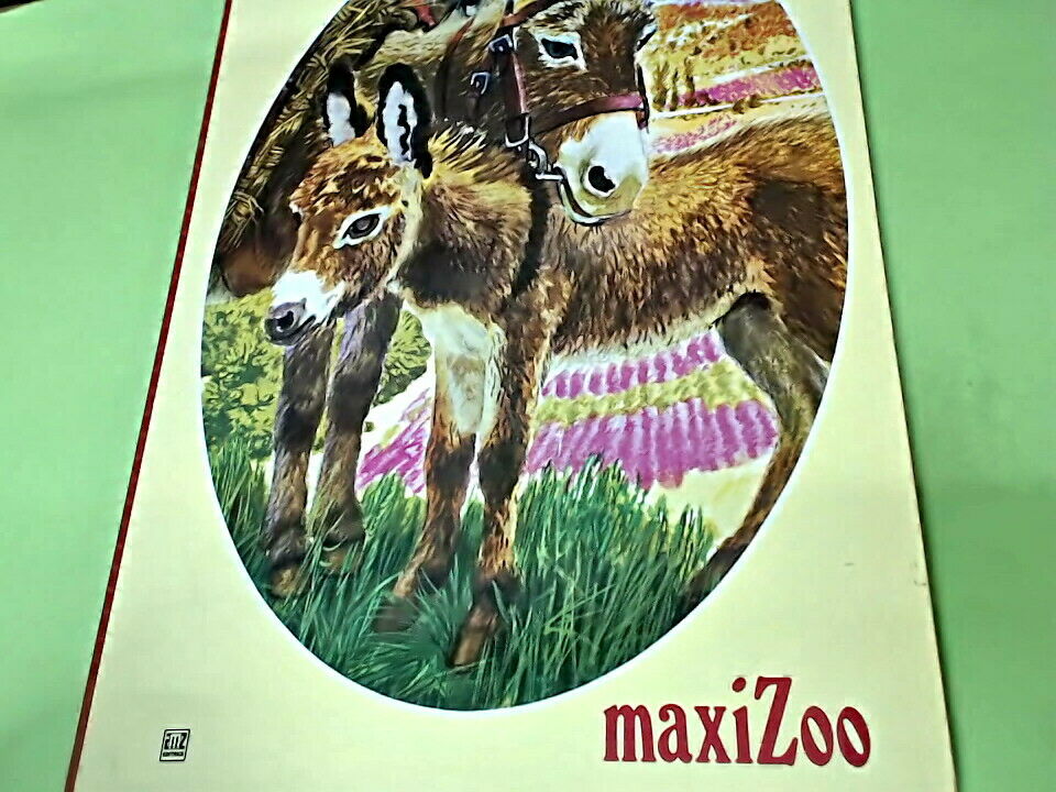 MAXIZOO AMZ EDITRICE CARTONATO