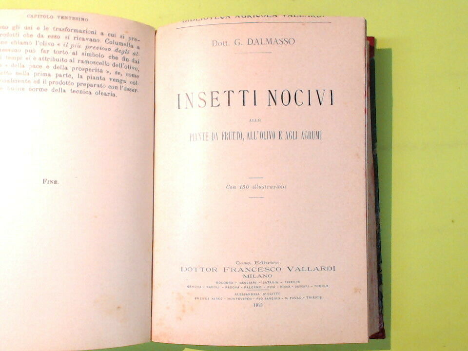 COLTIVAZIONE DEL FICO D'INDIA IL CARRUBO OLIVICOLTURA OLEIFICIO INSETTI NOCIVI - immagine 6