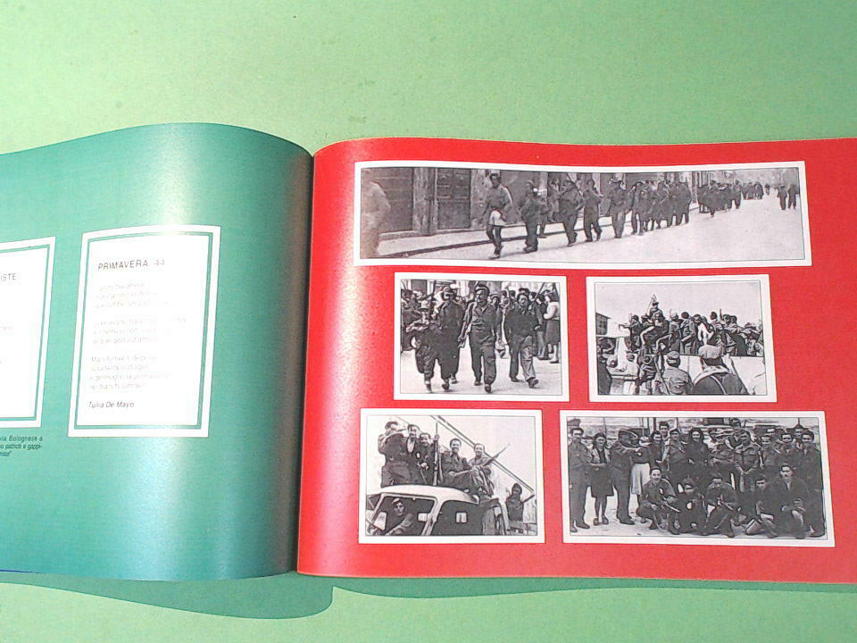 LE RADICI E LE ALI CELEBRAZIONI CINQUANTENNALE RESISTENZA E LIBERAZIONE - immagine 3