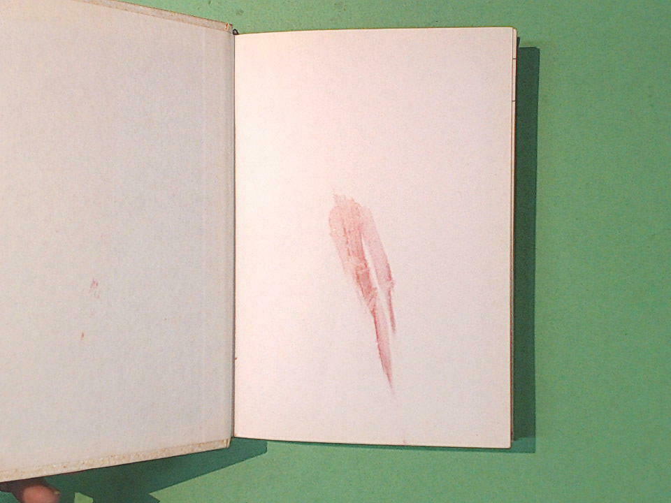 LA FIGLIA DEL CAPITANO RACCONTI PUSKIN I GRANDI DELLA LETTERATURA FABBRI - immagine 3