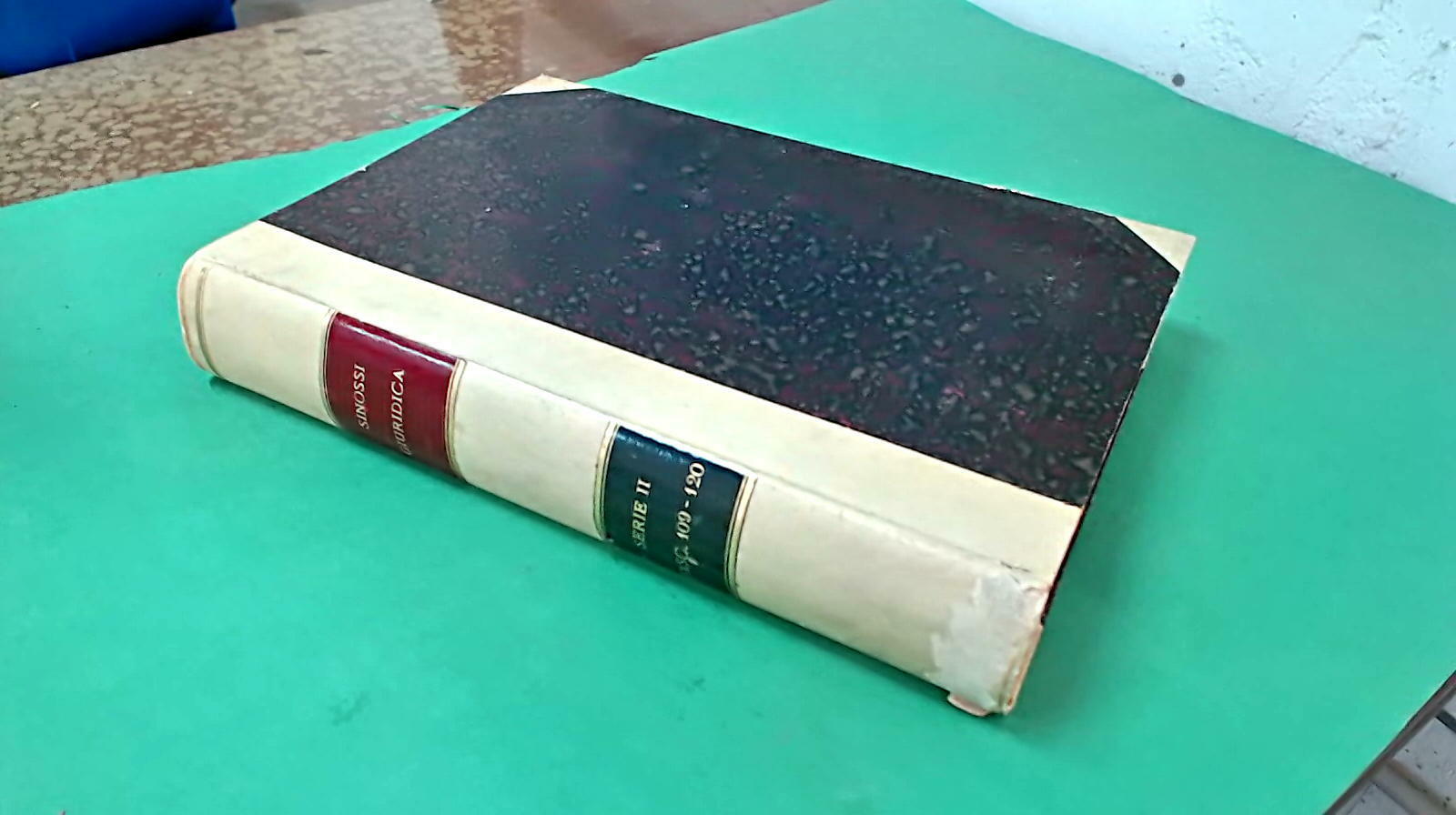 SINOSSI GIURIDICA PUBBLICAZIONE MENSILE SERIE II FASCICOLI 109 - 120 1896