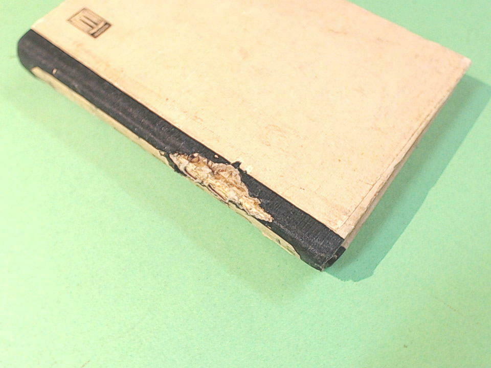 IL FORZATO GRANDI SPERANZE DICKENS EDIZIONI AURORA1936 - immagine 3