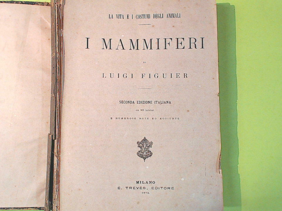 I MAMMIFERI E GLI UCCELLI FIGUIER TREVES 1872 - 1873 - immagine 3