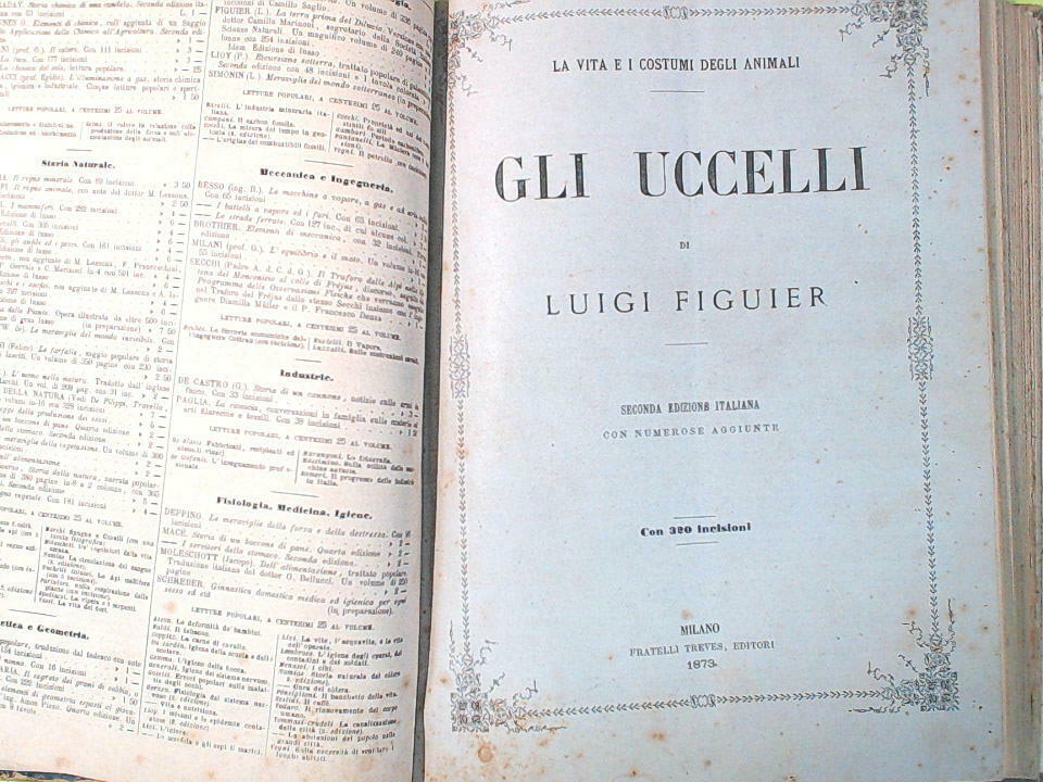 I MAMMIFERI E GLI UCCELLI FIGUIER TREVES 1872 - 1873 - immagine 5