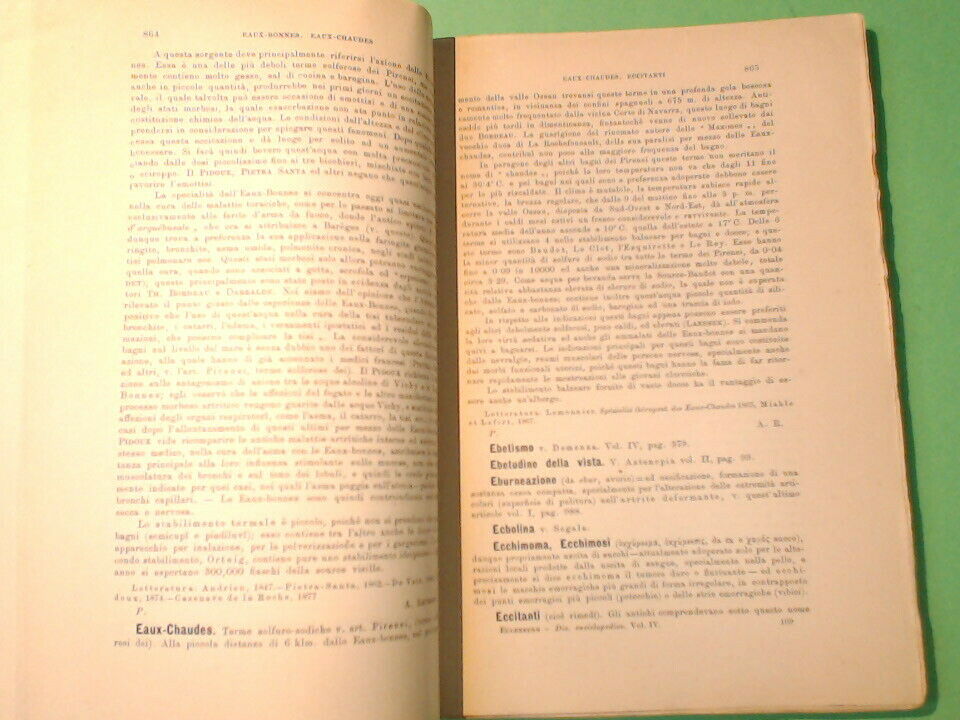 DIZIONARIO ENCICLOPEDICO DI MEDICINA E CHIRURGIA VOL IV EULENBURG VALLARDI 1890 - immagine 3