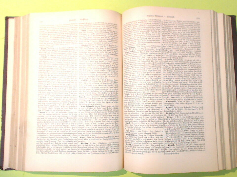 MEYERS KONVERSATIONS LEXIKON 17 A-Z SUPPLEMENT BIBLIOGRAPHISCHEN INSTITUTS 1891 - immagine 6