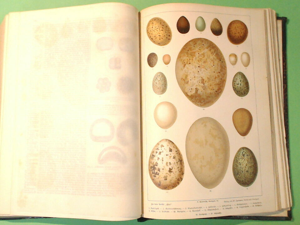 KONVERSATIONS LEXIKON 4 PIERERS 1889 - immagine 9