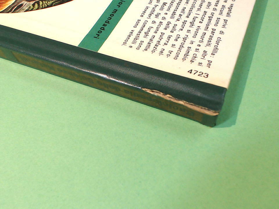ENCICLOPEDIA DELLE SCIENZE NATURALI 7 MONDADORI 1967 - immagine 3