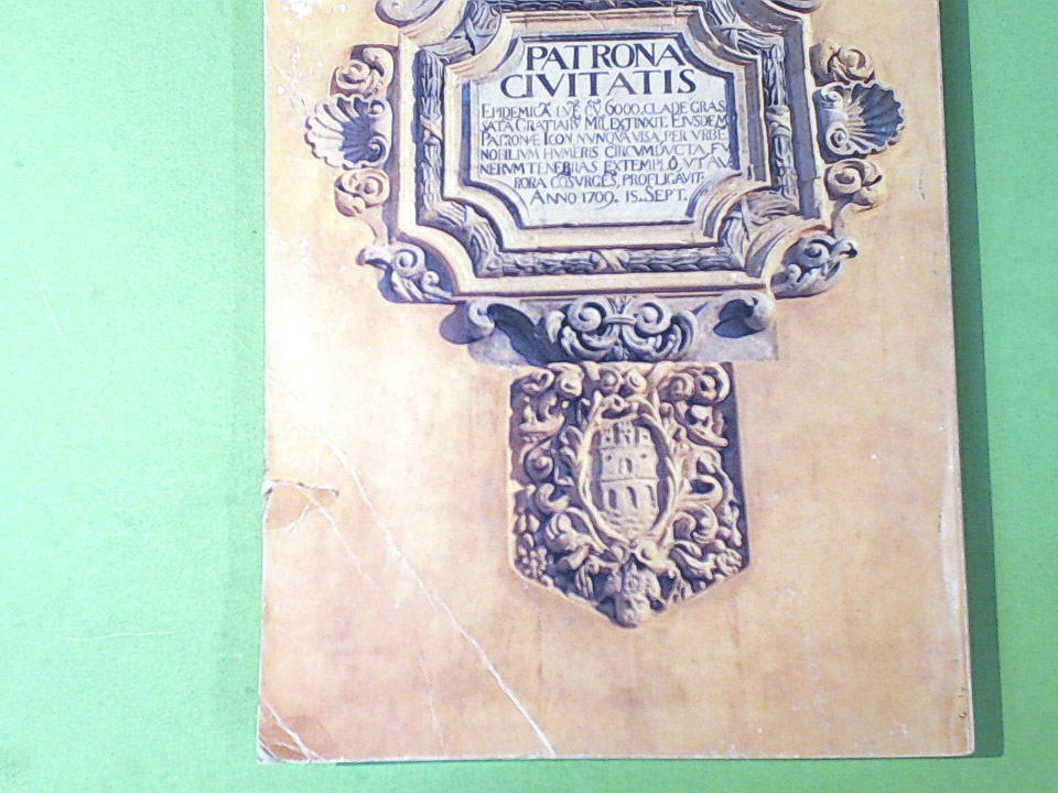 DE EPIDEMICA LUE SCIENZA MEDICA DEVOZIONE MARIANA NELLA CRISI DEL 1709 A MODICA - immagine 3