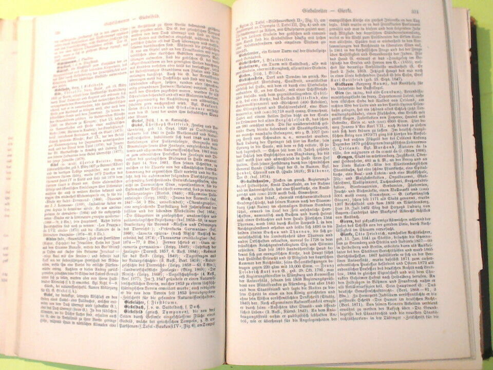 MEYERS KONVERSATIONS LEXIKON 7 GE - HA BIBLIOGRAPHISCHEN INSTITUTS 1887 - immagine 6