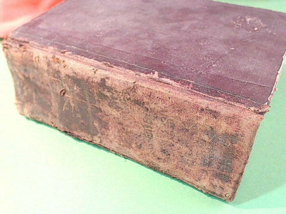 COLLEZIONE DELLE LEGGI ED ATTI DEL GOVERNO DEL REGNO D'ITALIA DELL'ANNO 1865 - immagine 3