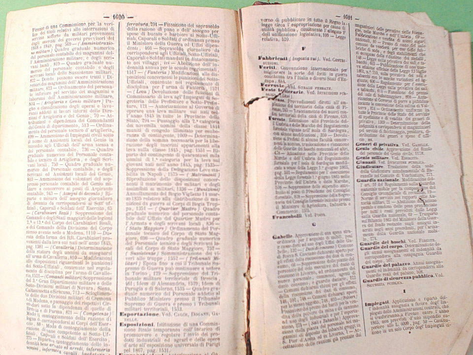 COLLEZIONE DELLE LEGGI ED ATTI DEL GOVERNO DEL REGNO D'ITALIA DELL'ANNO 1865 - immagine 5