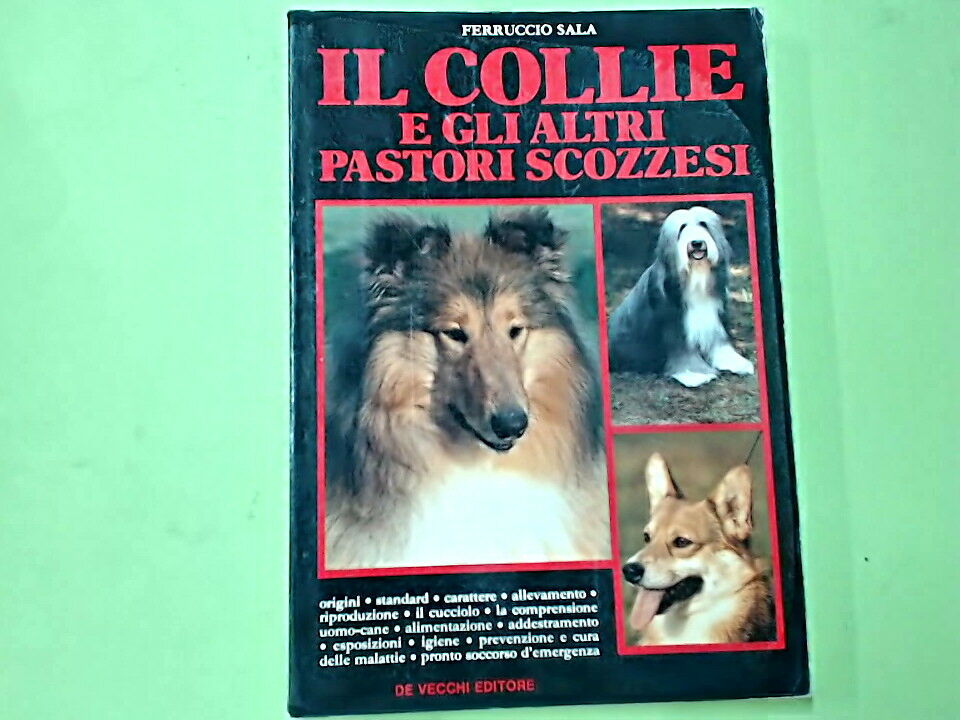 IL COLLIE E GLI ALTRI PASTORI SCOZZESI SALA DE VECCHI