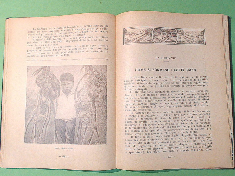 IL CALENDARIO DELL'AGRICOLTORE 1932 FIAT - immagine 4