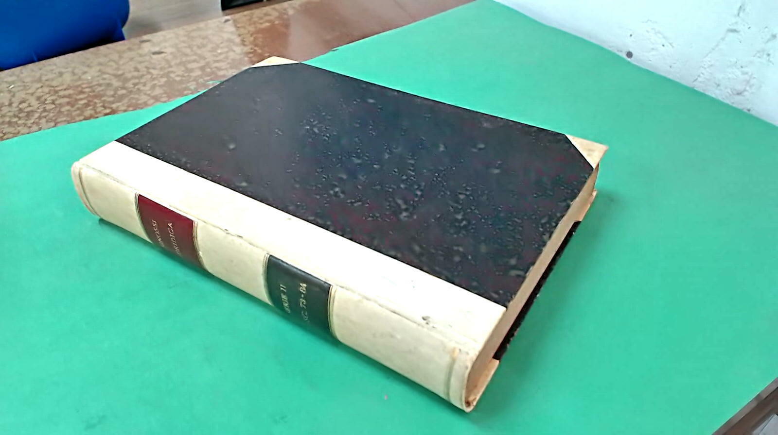 SINOSSI GIURIDICA PUBBLICAZIONE MENSILE SERIE II FASCICOLI 73 -84 1893