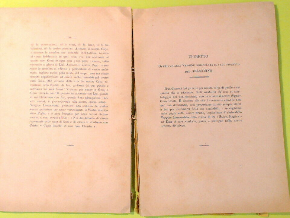 FIORETTI EMBLEMATICI A MARIA - immagine 3