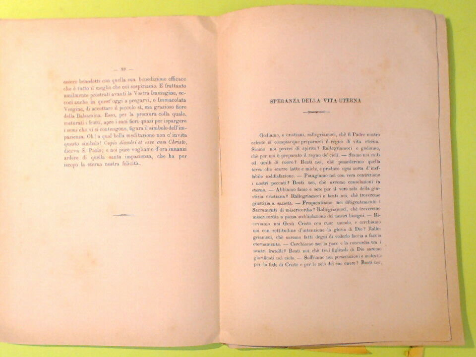 FIORETTI EMBLEMATICI A MARIA - immagine 4