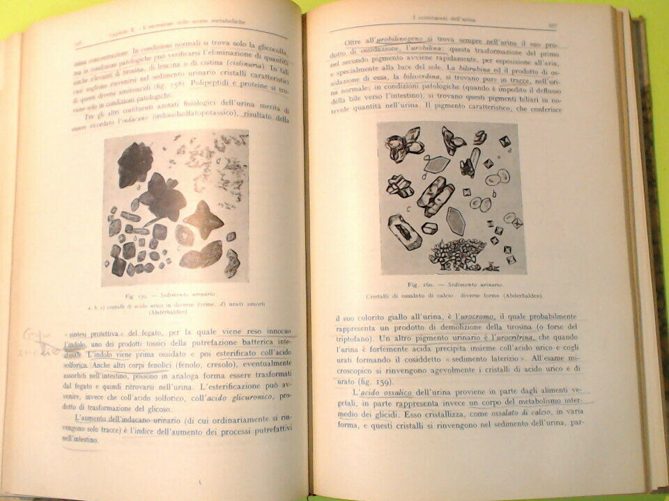 ELEMENTI DI FISIOLOGIA UMANA MARTINO PRINCIPATO 1946 - immagine 5