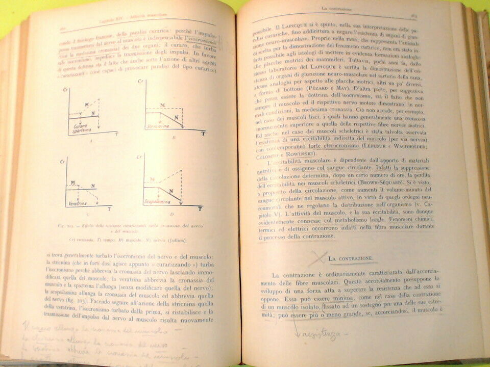 ELEMENTI DI FISIOLOGIA UMANA MARTINO PRINCIPATO 1946 - immagine 6