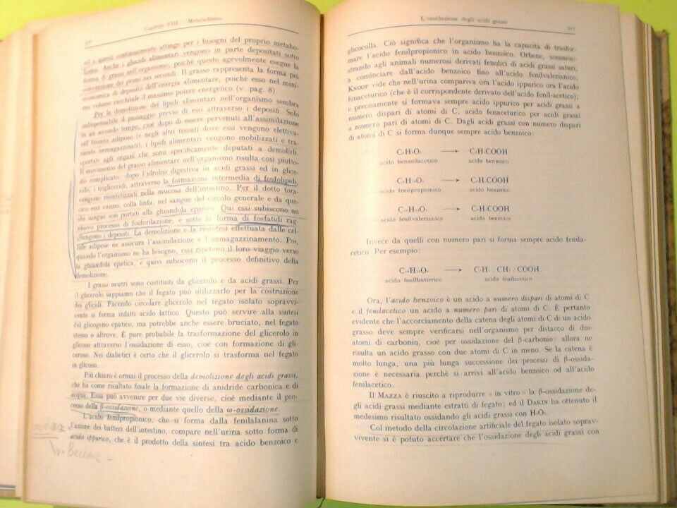 ELEMENTI DI FISIOLOGIA UMANA MARTINO PRINCIPATO 1946 - immagine 7