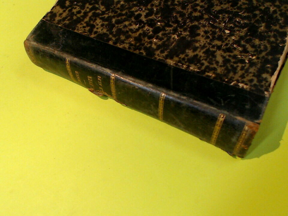 LA FATA DELLE ALPI WERNER TIPOGRAFIA SALANI 1897 - immagine 3