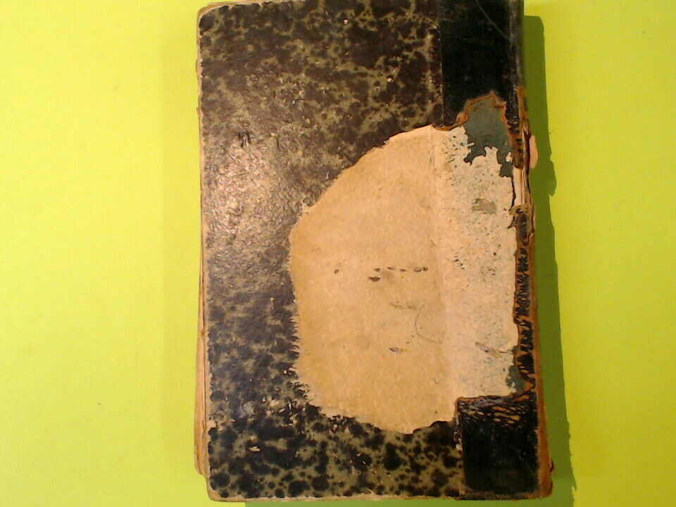 LA FATA DELLE ALPI WERNER TIPOGRAFIA SALANI 1897 - immagine 4