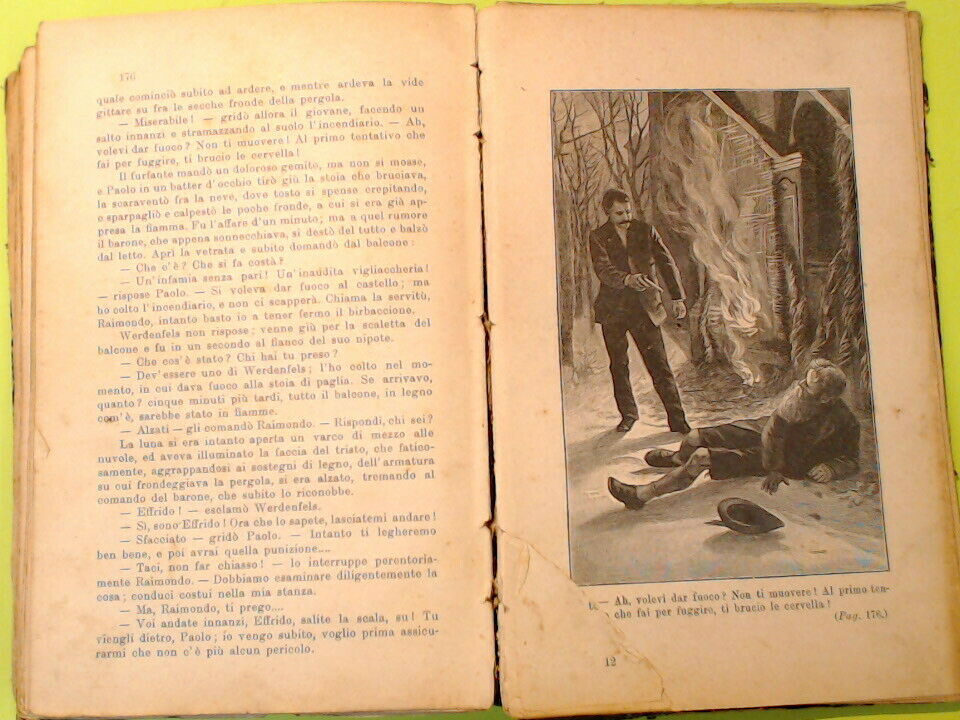 LA FATA DELLE ALPI WERNER TIPOGRAFIA SALANI 1897 - immagine 7