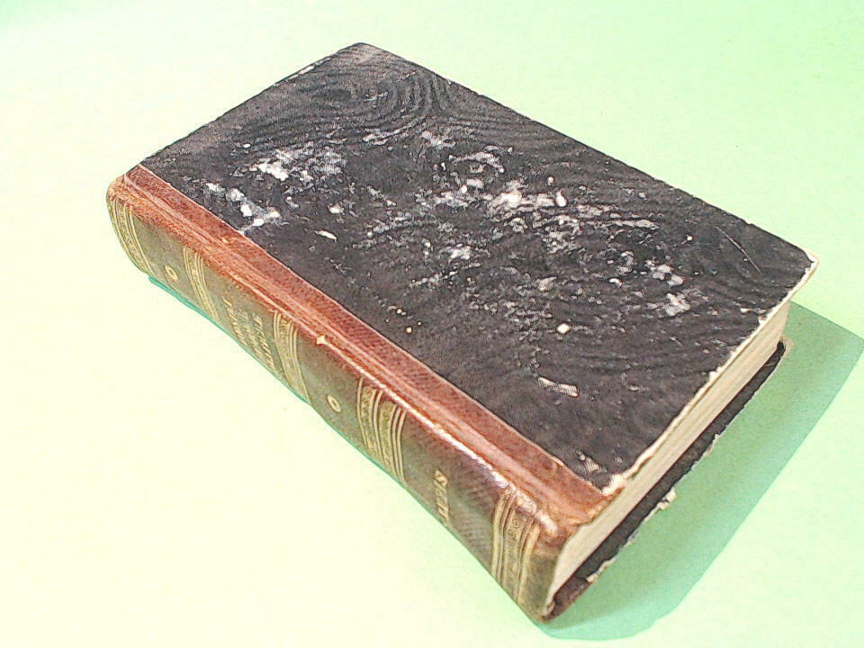 MEMORIE POLITICHE DI FELICE ORSINI MORELLI 1860 - immagine 3