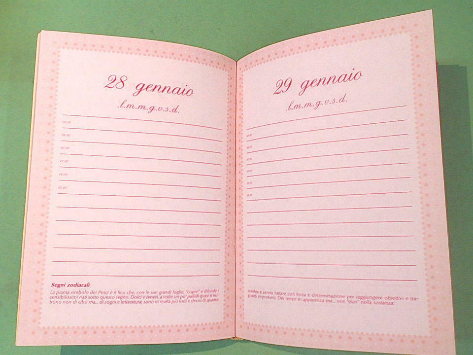 DIARIO SCOLASTICO VINTAGE SENSAZIONI MARI CART 1994 - immagine 3